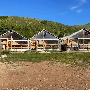 camping-cajupi.albaniahotels.org/